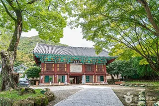 쌍계사(진도)