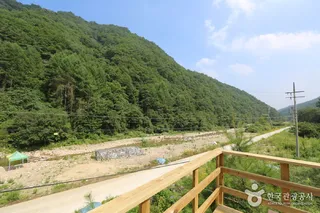 구룡산(강원)