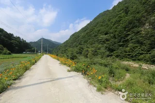 구룡산(강원)
