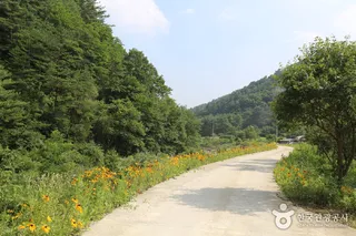구룡산(강원)