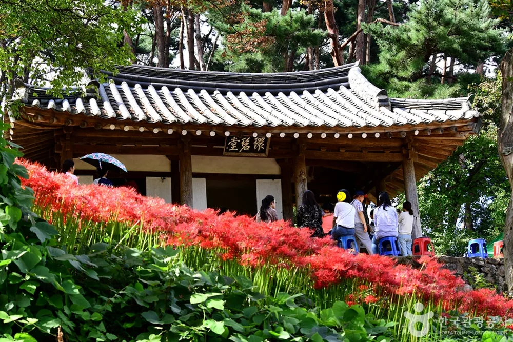 환벽당