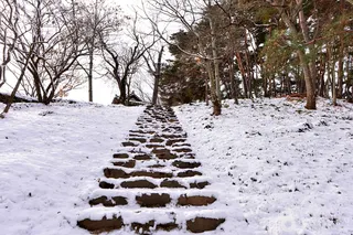 환벽당