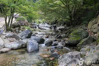 사나사 계곡