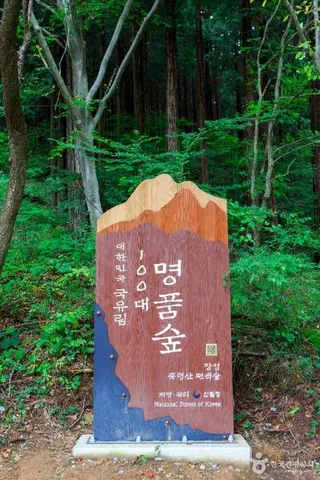 국립장성치유의숲(축령산삼나무편백숲)