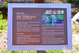 가마골계곡