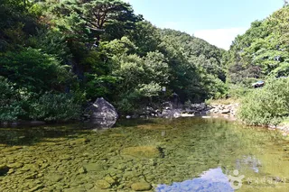 백운산 동곡계곡