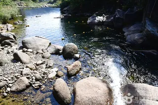 백운산 동곡계곡