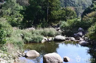 백운산 동곡계곡