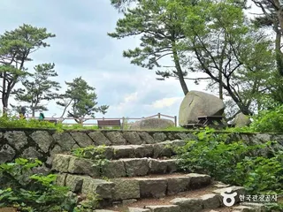 금강공원