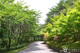 백아산자연휴양림