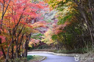 백아산자연휴양림