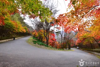 백아산자연휴양림