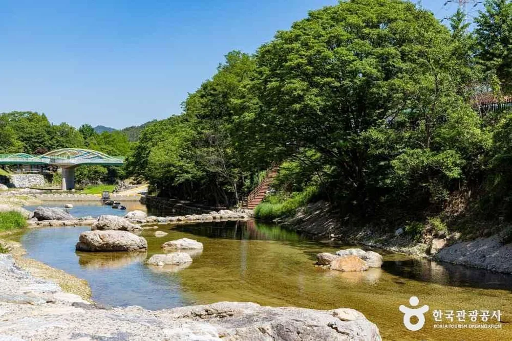 장령산자연휴양림