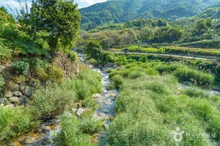 고운동계곡