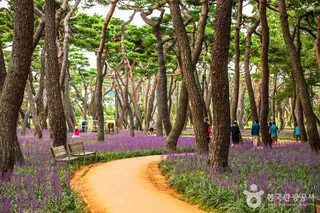 황성공원
