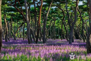 황성공원