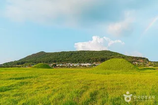나주 복암리 고분군