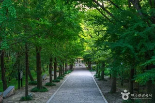 부석사 [유네스코 세계유산]