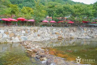 구천동계곡