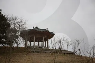 지도