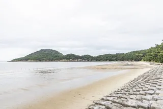분계해변