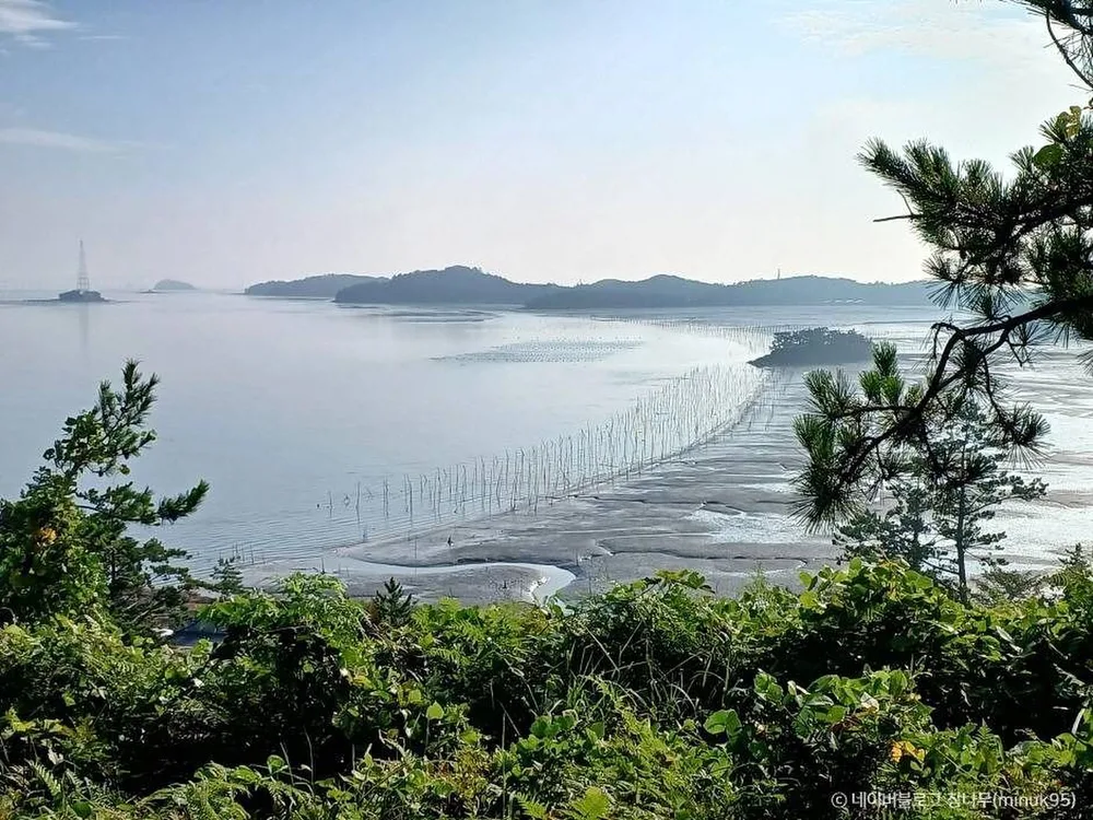 팔금도