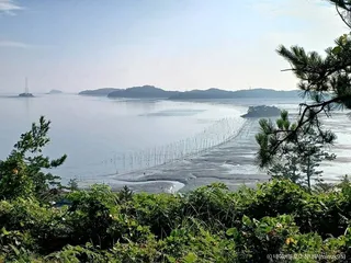 팔금도