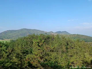 팔금도