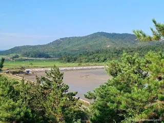 팔금도