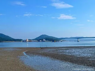 팔금도