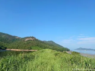팔금도
