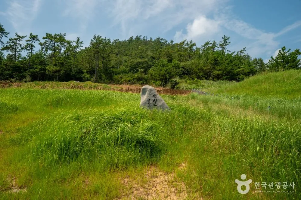 장산도
