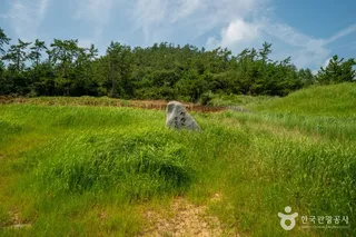 장산도