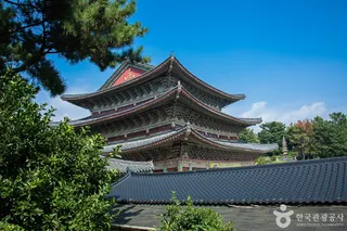 약천사(제주)