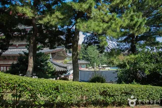 약천사(제주)