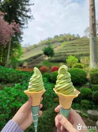 대한다원