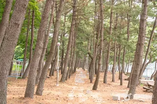 익금해수욕장