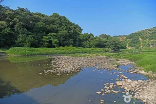 작천계곡