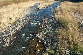 화개천계곡