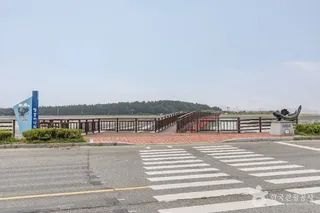 짱뚱어다리