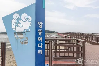 짱뚱어다리