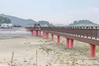 짱뚱어다리