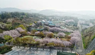 김포국제조각공원