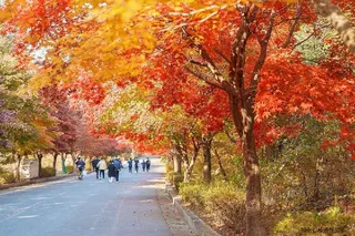 대둔산도립공원(논산)