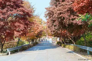 대둔산도립공원(논산)