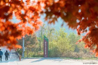 대둔산도립공원(논산)
