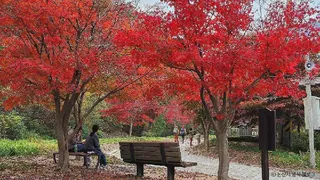 대둔산도립공원(논산)