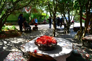 한려해상국립공원 (오동도)