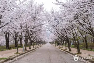 인천대공원