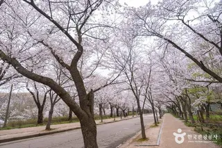 인천대공원